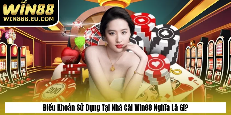 Điều Khoản Sử Dụng Tại Nhà Cái Win88 Nghĩa Là Gì?