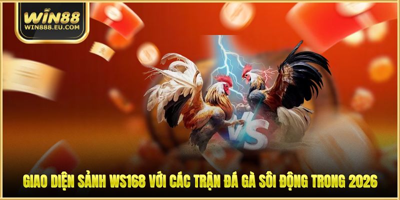 Giao diện sảnh WS168 với các trận đá gà sôi động trong 2026