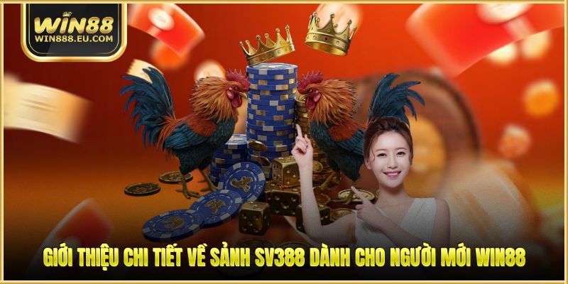 Sảnh SV388 - Thiên Đường Đá Gà Trực Tuyến Uy Tín Nhất 1 Giới thiệu chi tiết về sảnh SV388 dành cho người mới WIN88
