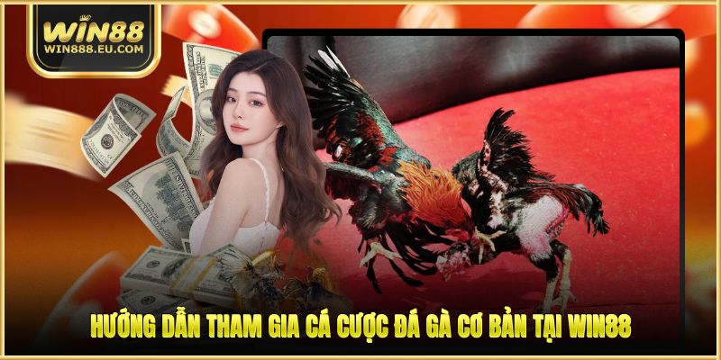 Hướng dẫn tham gia cá cược đá gà cơ bản tại WIN88