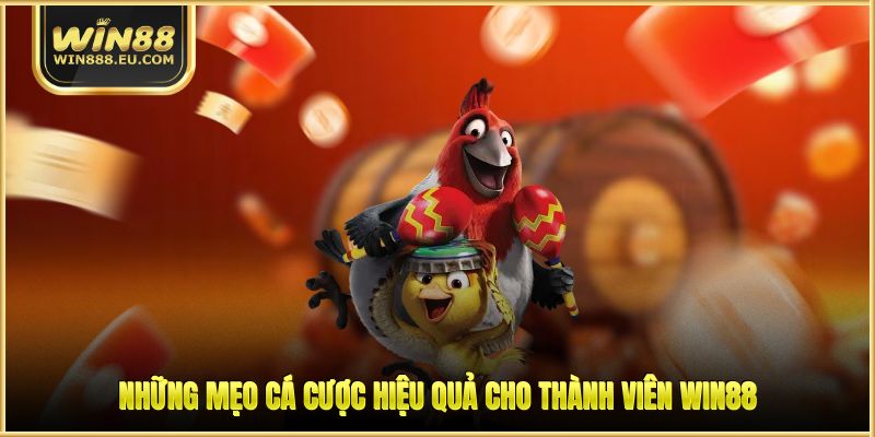 Sảnh SV388 - Thiên Đường Đá Gà Trực Tuyến Uy Tín Nhất 3 Những mẹo cá cược hiệu quả cho thành viên WIN88