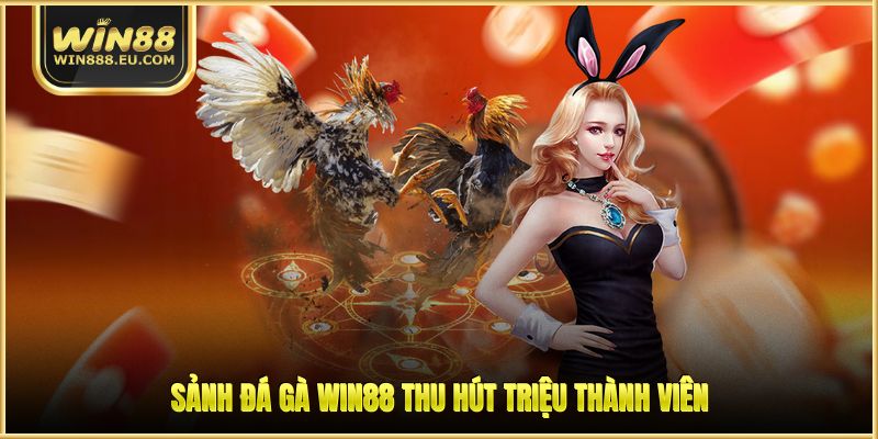 Đá Gà WIN88 - Khám Sân Chơi Cá Cược Chuyên Nghiệp 1 Sảnh đá gà WIN88 thu hút triệu thành viên