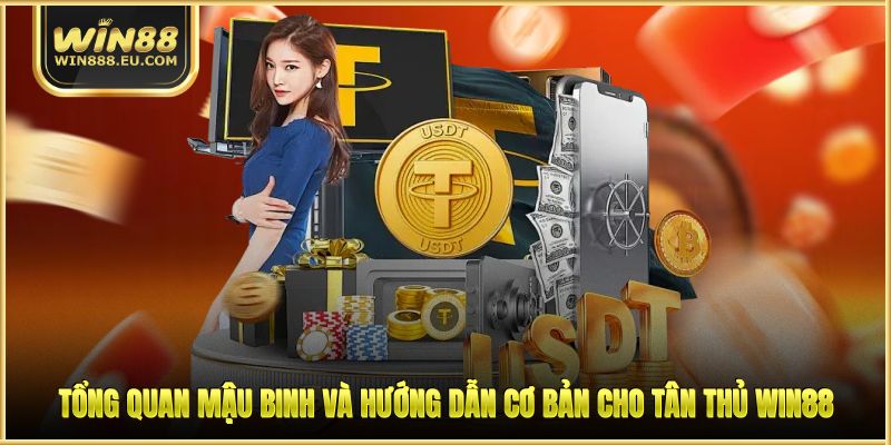 Tổng quan Mậu Binh và hướng dẫn cơ bản cho tân thủ WIN88